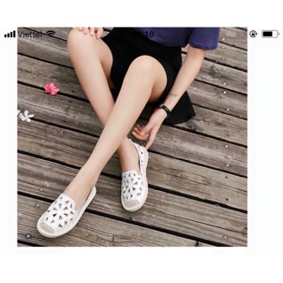 Giày lỗ hoa đế kếp