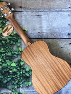 Đàn Ukulele Concert Eo Wat MHĐ-CB25