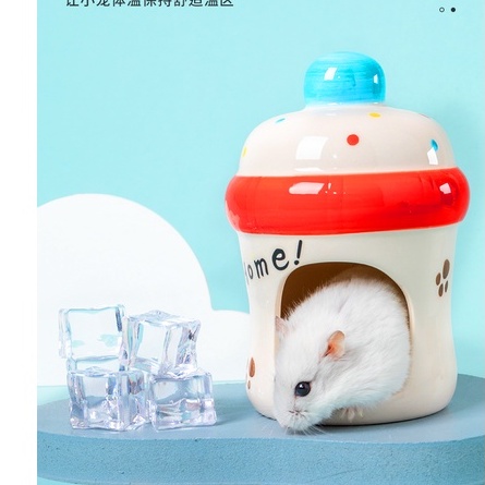 Nhà ngủ  sứ cho Hamster