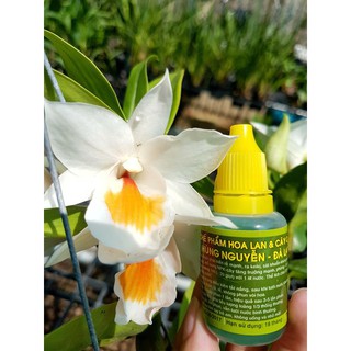 Hộp 10 LỌ Chế phẩm sinh học kích mầm, kíc rễ Hùng Nguyễn cho hoa lan cây cảnh