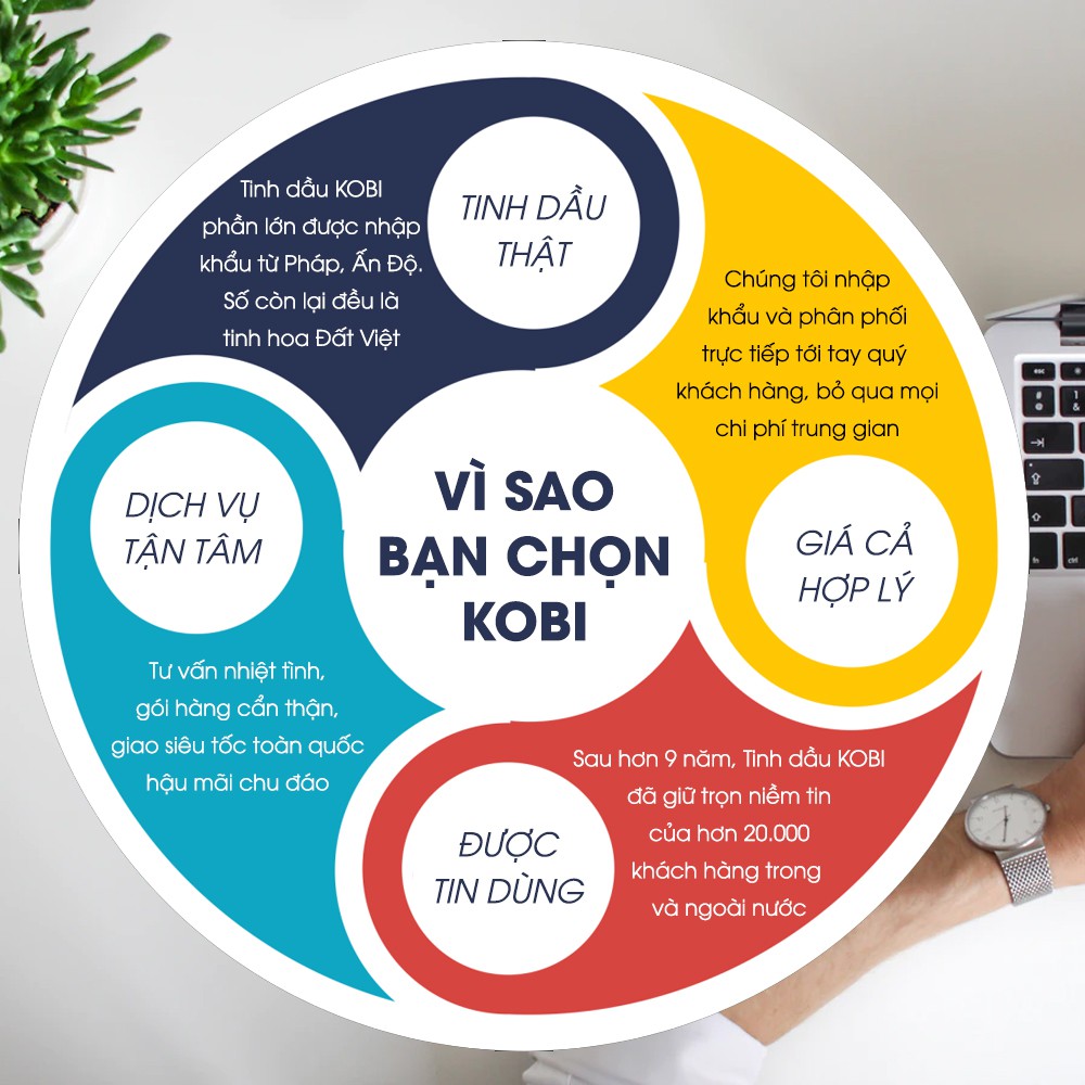 Tinh dầu Kobi Clarity essential oil blend giúp xua tan cảm giác mệt mỏi cho tinh thần minh mẫn và sáng tạo -30ml