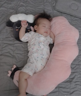 Gối cừu Hàn Quốc