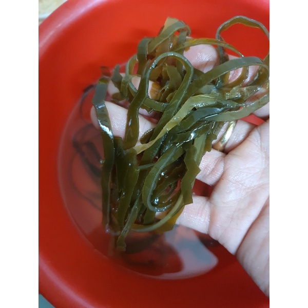 Phổ tai Khánh Hoà Việt Nam khô loại 1 -500GR date 2024