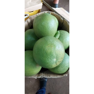 Bưởi da xanh ruột đỏ