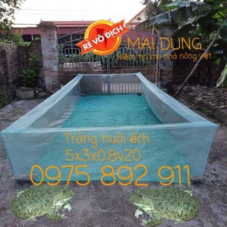 Lồng , Bể bạt nuôi ếch