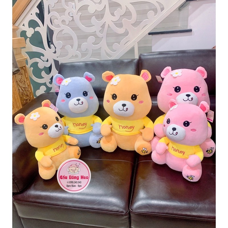 Gấu teddy Honey nhồi bông cao cấp