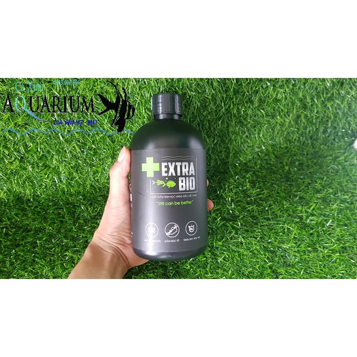 Vi Sinh EXTRA BIO cao cấp chai 500ml