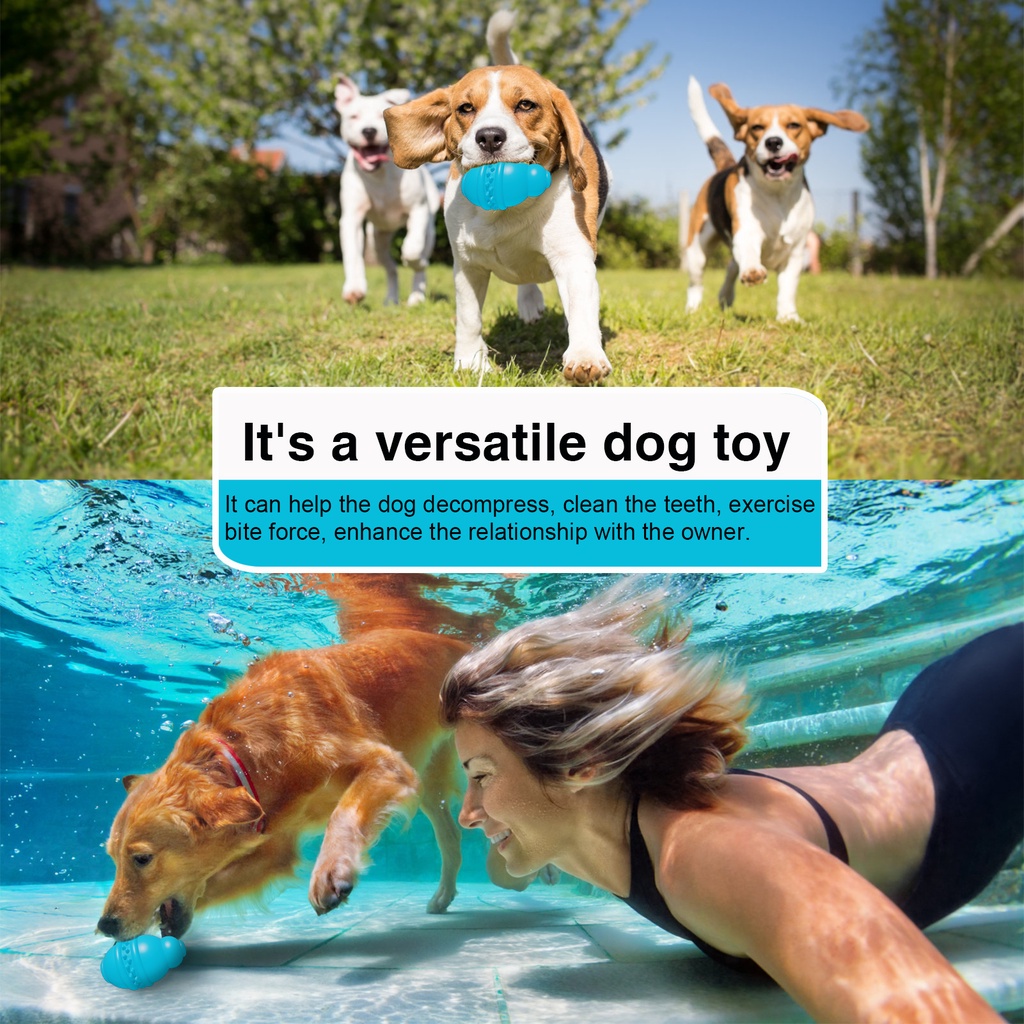 Đồ Chơi Nhai Gặm Bằng Cao Su Tự Nhiên An Toàn Cho Thú Cưng