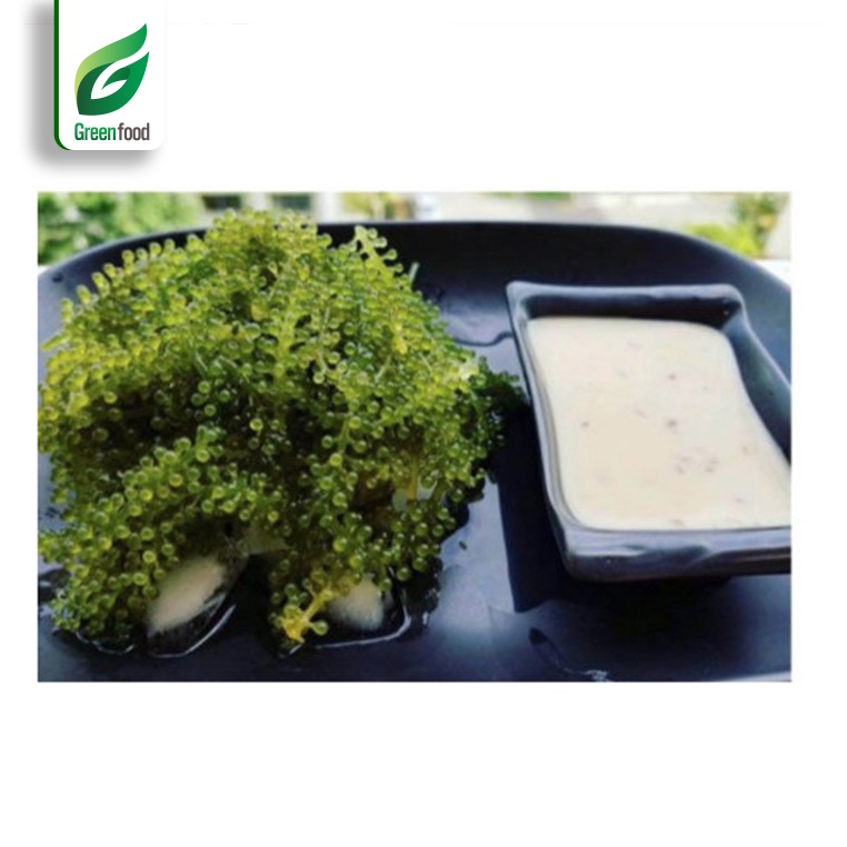 Rong nho tách nước Khánh Hòa GreenFood gói 25g