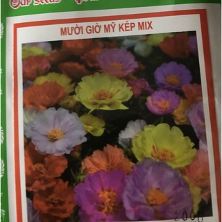 Hạt giống Hoa mười giờ Mix (Portulaca) 💐