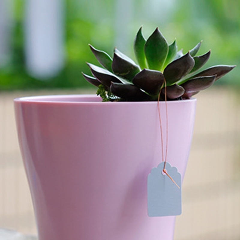 Set 100 thẻ treo đánh dấu cây trồng chống thấm nước tiện lợi