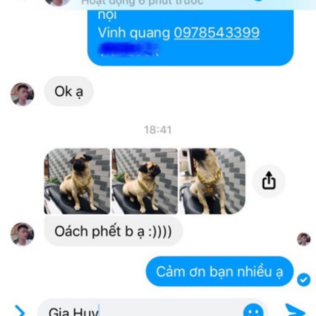 Vòng Cổ Mắt Xích Cho Chó Mèo Chưa Bao Gồm Thẻ Tên giahuypetshop