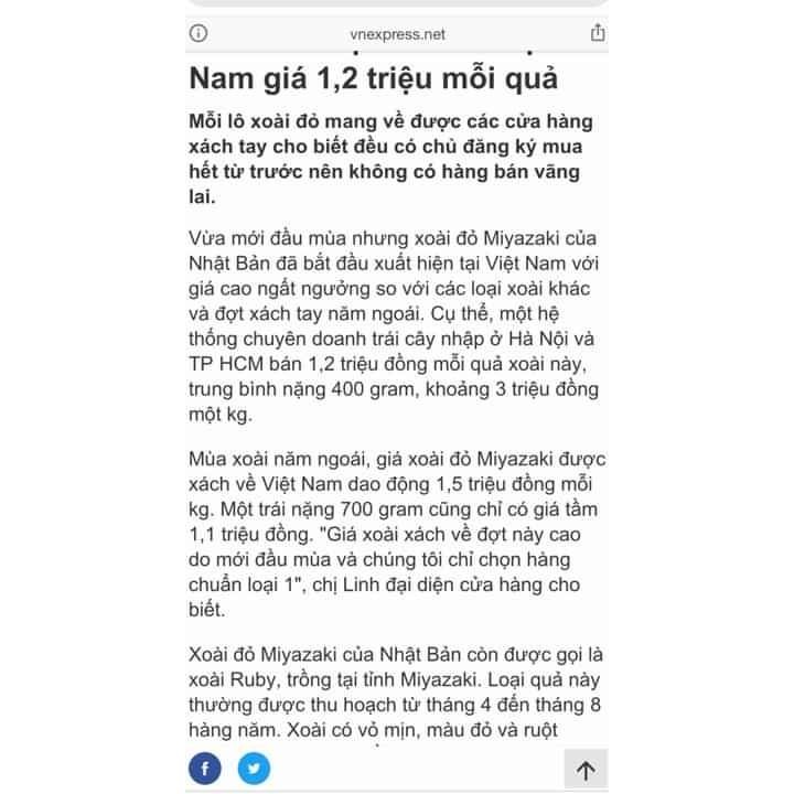 Cây Xoài đỏ Nhật bản... năm tháng cây cho trái