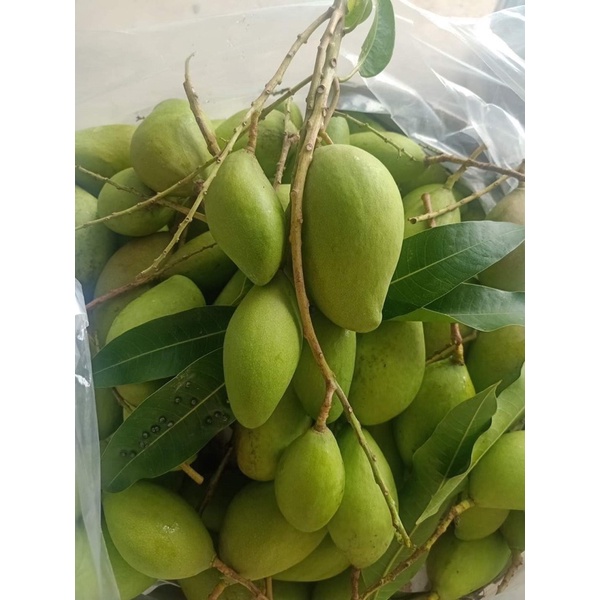 Xoài non mắm ruốc ah