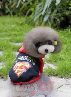 Áo nỉ chó mèo Superman