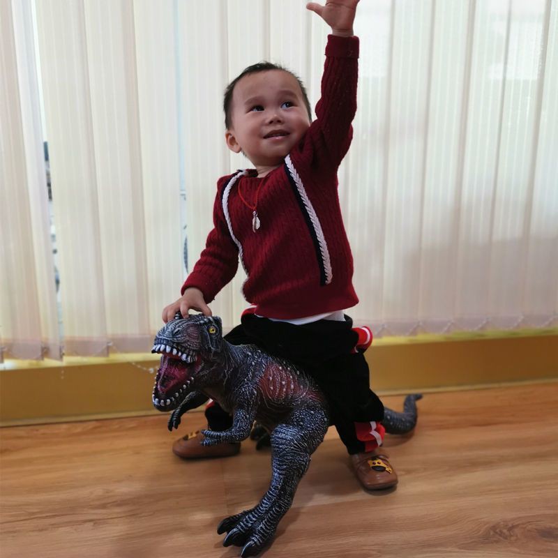 Đồ chơi khủng long bằng cao su mềm quá khổ mô phỏng Jurassic World Gọi tên con bạo chúa Triceratops quà