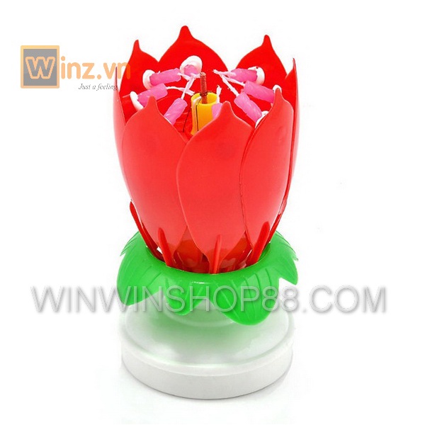 Nến sinh nhật nở Bông Hoa tạo BẤT NGỜ khi đốt lên phát nhạc  và Bung cánh