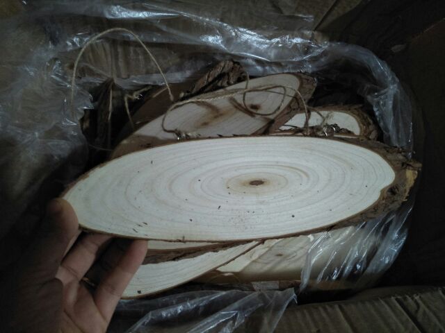 Mảnh gỗ bầu dục 10*26cm cho bé sáng tạo, gỗ mộc làm decor trang trí nhà cửa