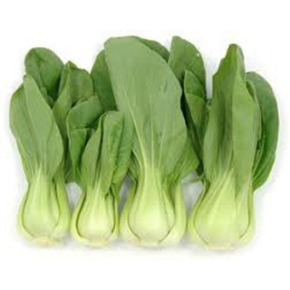 Hạt giống rau Cải chíp