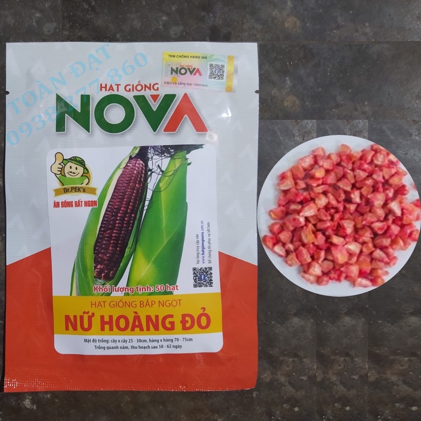 Hạt Giống Bắp Ngọt Nữ Hoàng Đỏ (50 hạt), Bắp Tím Nova Nữ hoàng đỏ, hạt giống Ngô tím