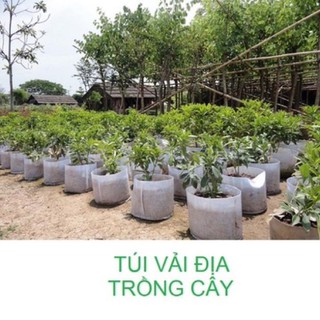 Túi vải địa trồng cây 2 quai xách kích thước 45x40cm 1 cái