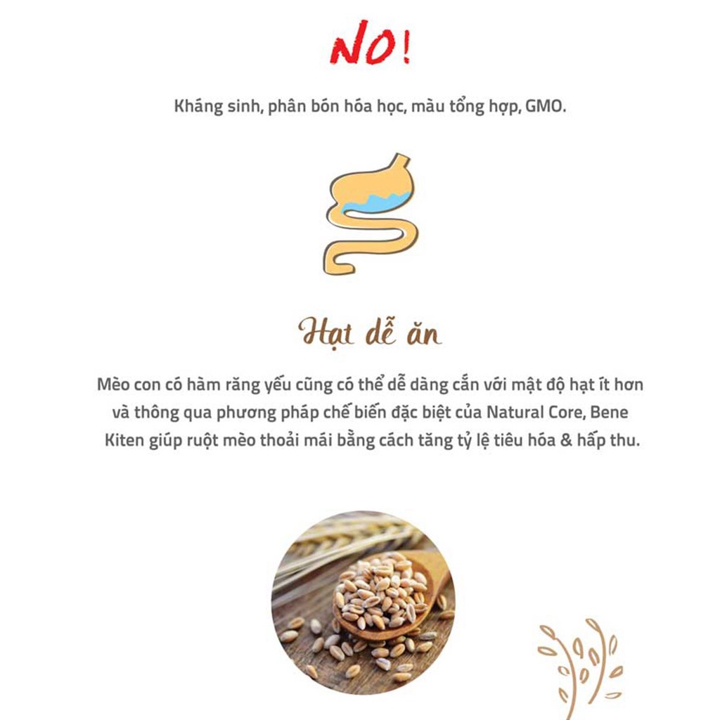Hạt Natural Core C1 Bene Kitten cho mèo con dưới 12 tháng tuổi