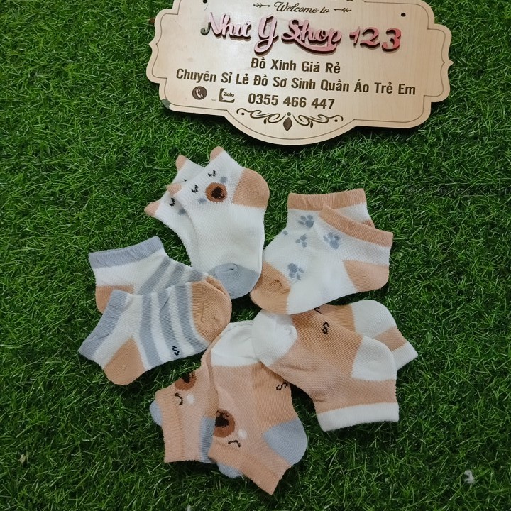 B28 - Set 5 Đôi Tất Quảng Châu Điều Hòa Cotton Cổ thấp Kid's Socks Túi Zip Mềm Mại Thoáng Khí Cho Bé Từ 0-3 Tuổi