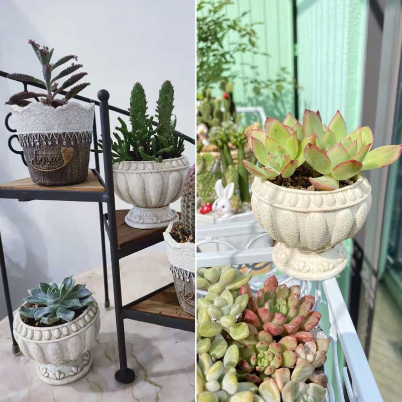 Khuôn Silicone Làm Chậu Cây Mọng Nước Hình Tròn 3D Phong Cách La Mã Cổ Điển