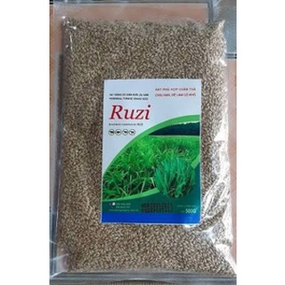 Hạt giống cỏ Ruzi - Cỏ xả chịu bóng râm, giẫm đạp dùng chăn nuôi trâu, bò, dê...