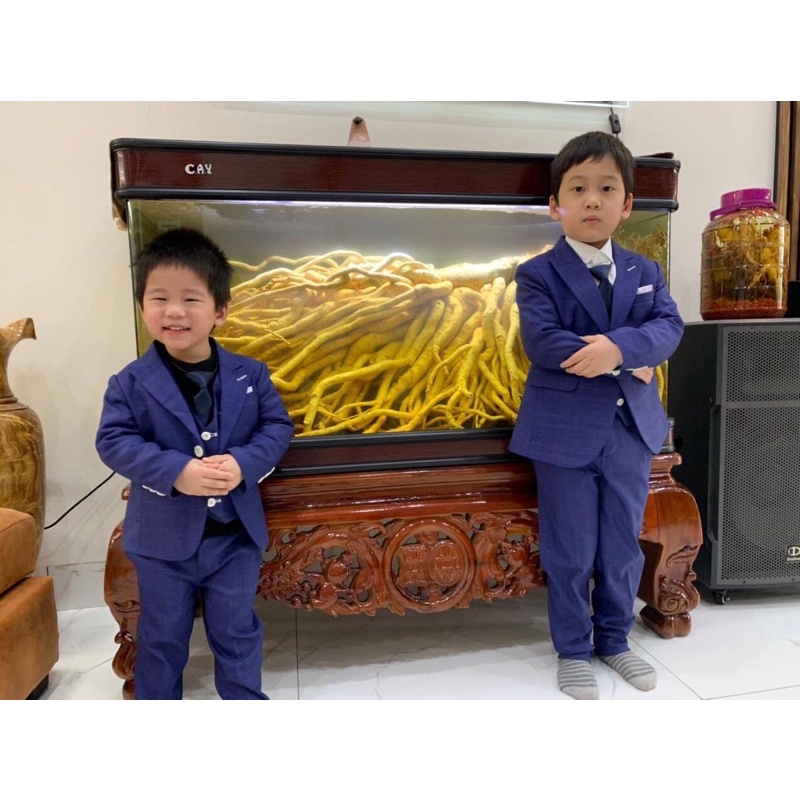 Bộ vest bé trai thiết kế màu tím