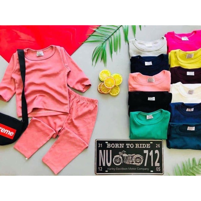 Combo bộ bozip