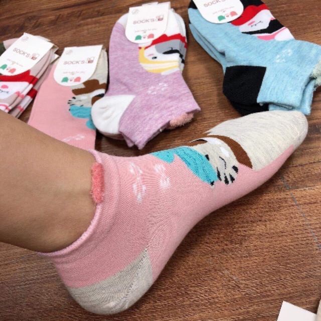 Tất nữ cổ ngắn nhiều màu chất thun cotton mềm mịn