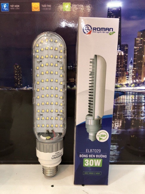 Bộ đèn đường, ngõ xóm -Led 30w ROMAN