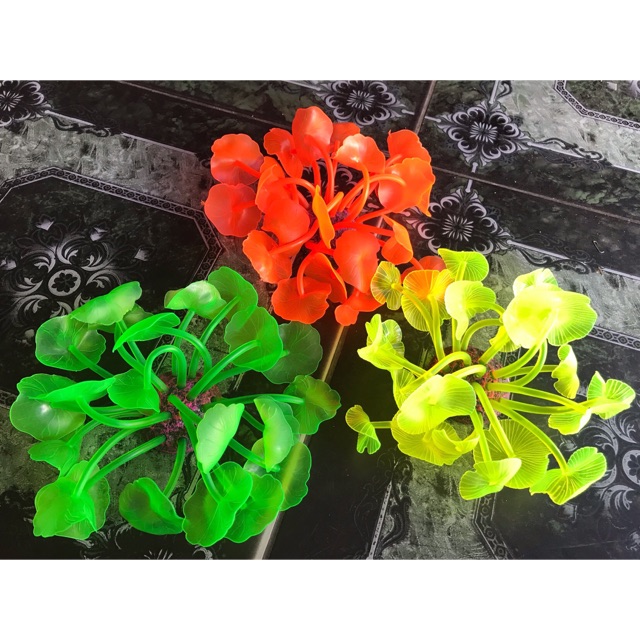 RONG NHẬP DẠ QUANG TRANG TRÍ HỒ CÁ NON BỘ