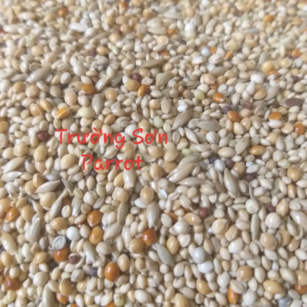 1kg hạt trộn cho finch, chim manh manh, bảy màu ....của Mannitoba (Ý)
