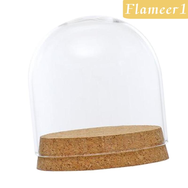 [Flameameer1] Bình Hoa Thủy Tinh Nắp Phong Cảnh Terrarium