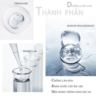 Combo Dưỡng Trắng Da Hoàn Hảo Serum &amp; Nước Hoa Hồng &amp; Kem Sâm Ciyaoo 30ml + 220ml + 10g