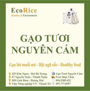 MƠ MUỐI LÂU NĂM