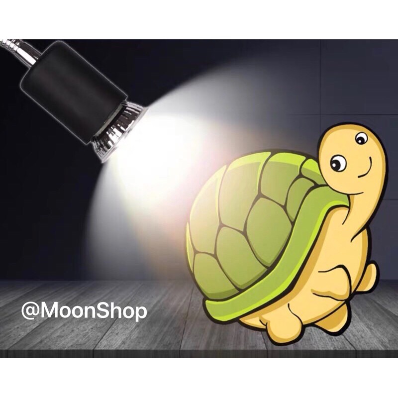 Combo Đèn Sưởi UVB và Kẹp Đèn cho Bò Sát, Rùa, Cá