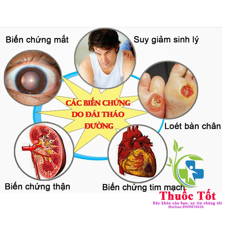 [Chính Hãng] Thanh Đường Gamosa /Sản Phẩm Thảo Dược Cho Người Bệnh Tiểu Đường