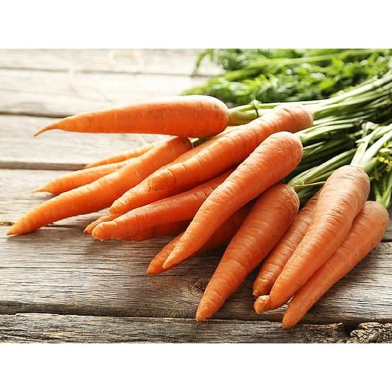 ⚡️ Cà rốt NEWTON⚡️ Hạt Cà Rốt Chịu Nhiệt F1 Siêu Dễ Trồng