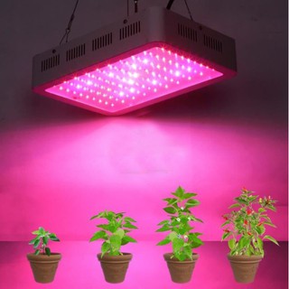Đèn LED trồng cây trong nhà 300w Super Growth