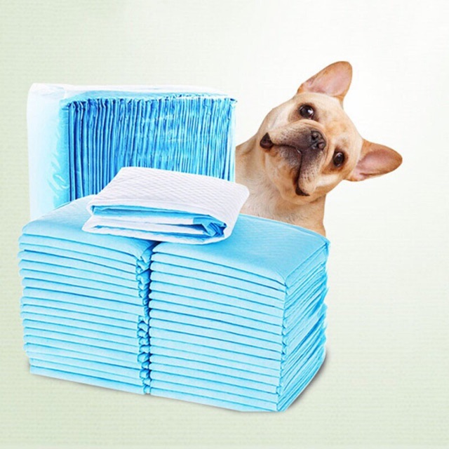 Bộ 20 miếng lót vệ sinh cho thú cưng