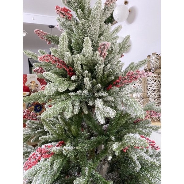 Cây thông noel 2022 - cây thông tuyết PE cherry đỏ KHÔNG KÈM TRANG TRÍ - hàng luxury store