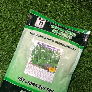 Hạt giống bí ngô việt nam gs a556 siêu ngọn quả to 500gr