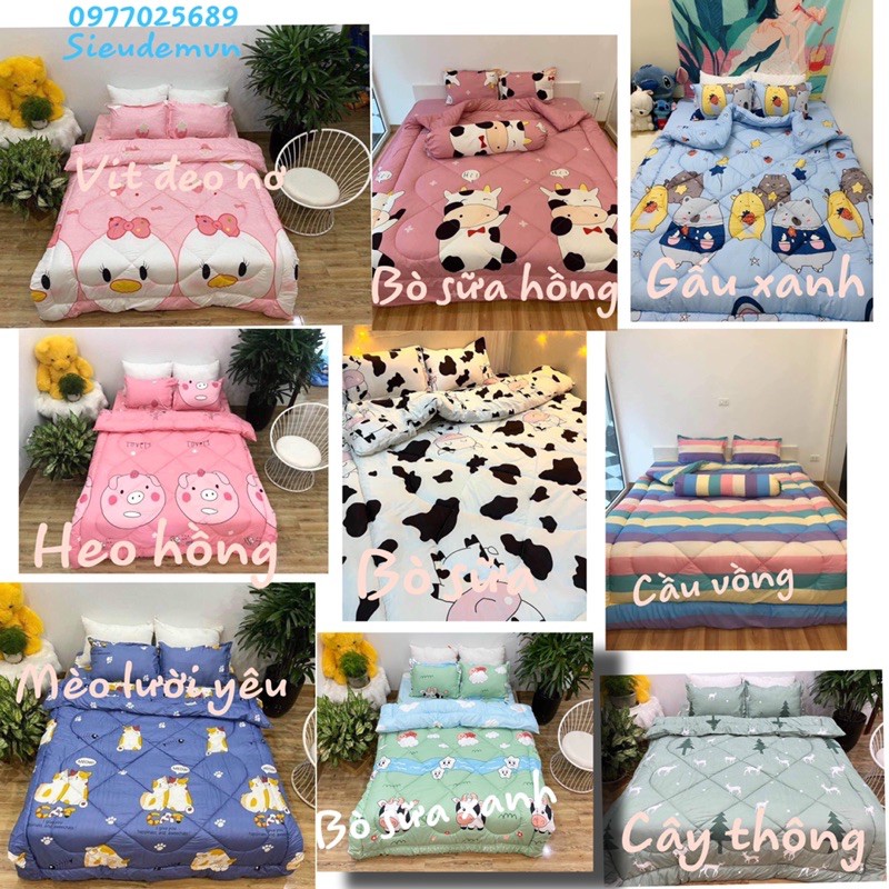 Bộ Chăn Ga 5 Món Cotton Poly - Chăn Phao Trần Dầy Dặn | BigBuy360 - bigbuy360.vn