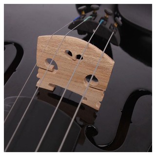 Set đàn violin 4 / 4 inch + phụ kiện