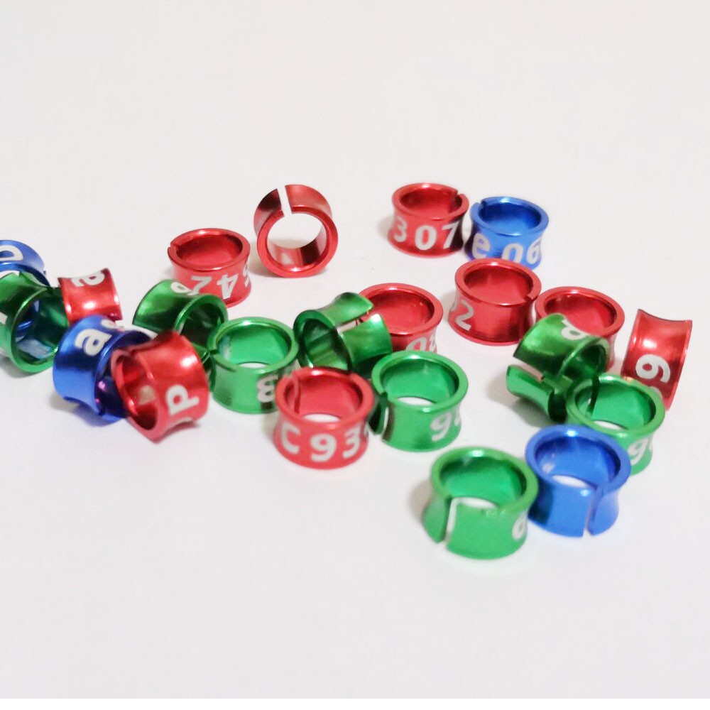 Set 10 Vòng Đeo Chân 4mm//5mm/6mm/7mm Hình Chim Bồ Câu/Chim Bồ Câu Luyện Tập Chân