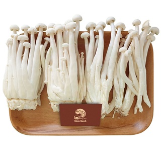 1kg Nấm Hải Sản Tươi (Nấm Bạch Tuyết Tươi) Ngon Ngọt Thanh Vị - Nông Trại Nấm Xanh