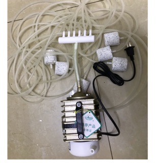 Máy sục sủi, máy tạo ô xy cho bể cá loại 220v-50w cả bộ cục sủi và dây.